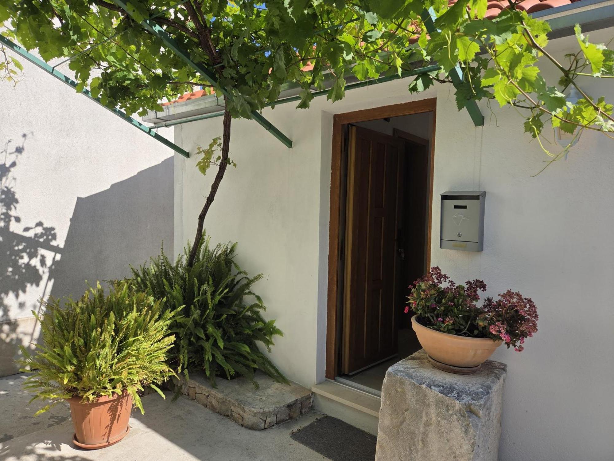Apartments Jelena Supetar - Four Apartments - A Small House With A Private Yard - Two-Room Apartment With A Sea View - Studio Apartment - Two-Room Apartment With Garden View- Free Parking エクステリア 写真